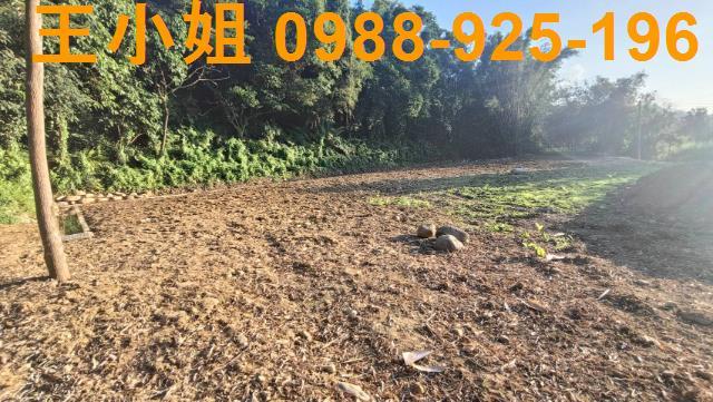 桃園農地_建地-5