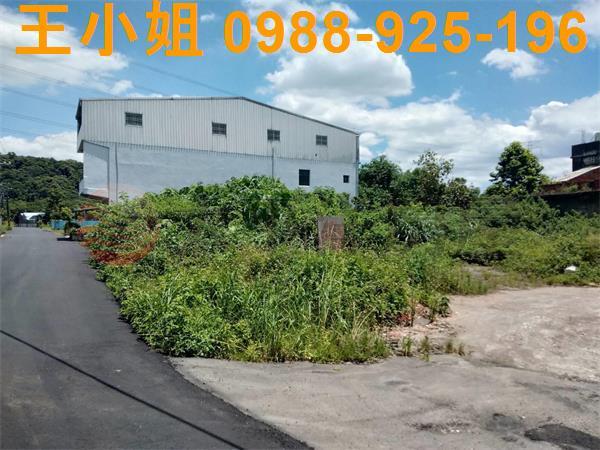 桃園建地-4