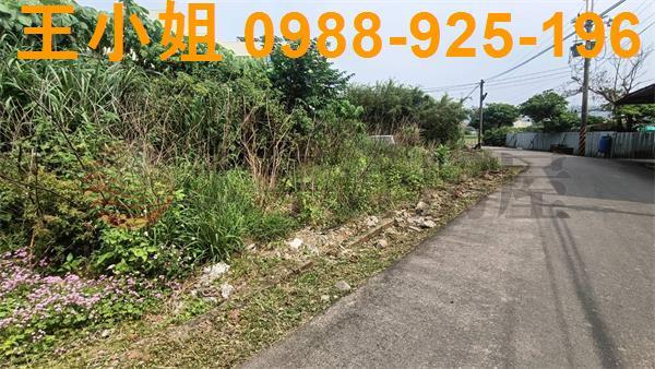桃園建地-5