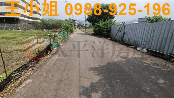 桃園建地-6