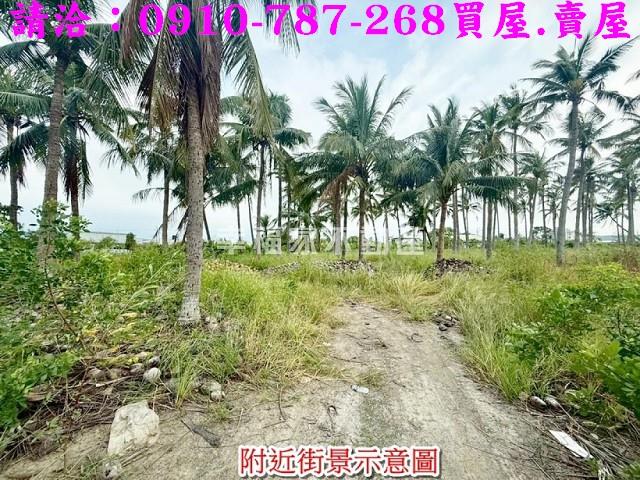 安南農地-14