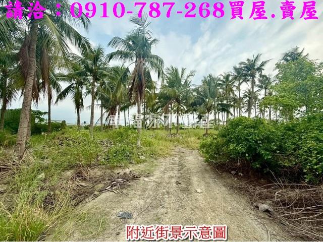 安南農地-8
