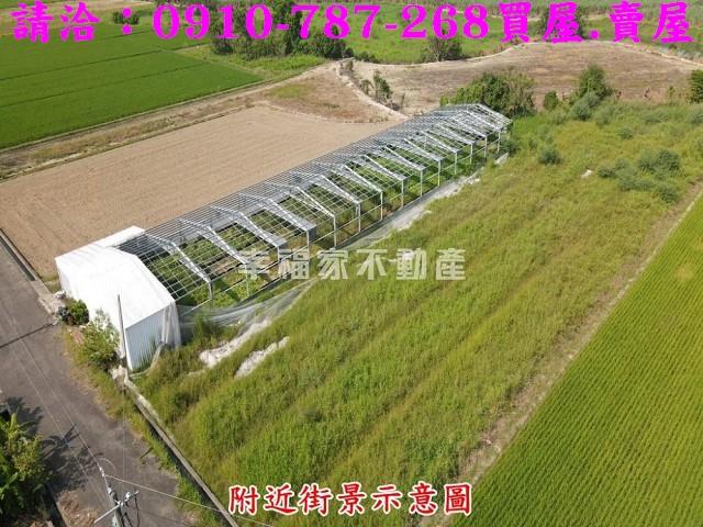 六甲農地-1