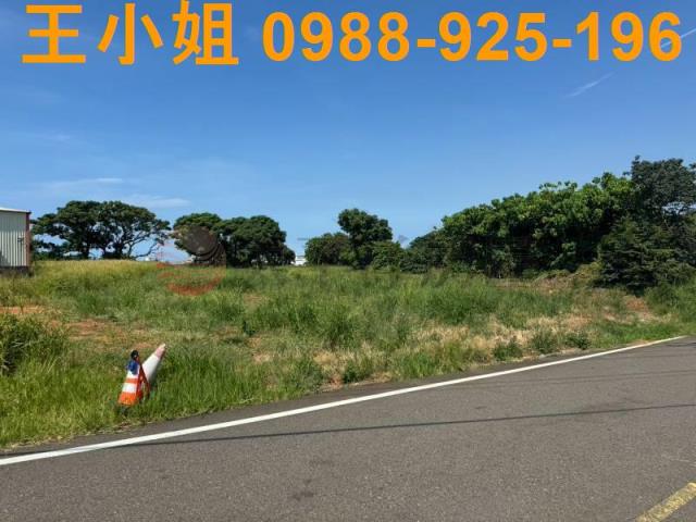 大園農地-15