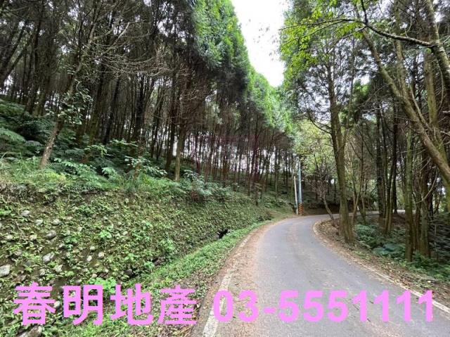 新竹橫山農地_林地-10