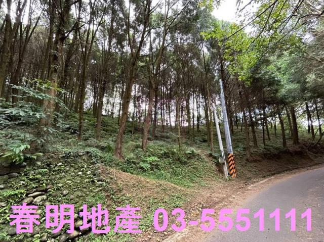 新竹橫山農地_林地-13
