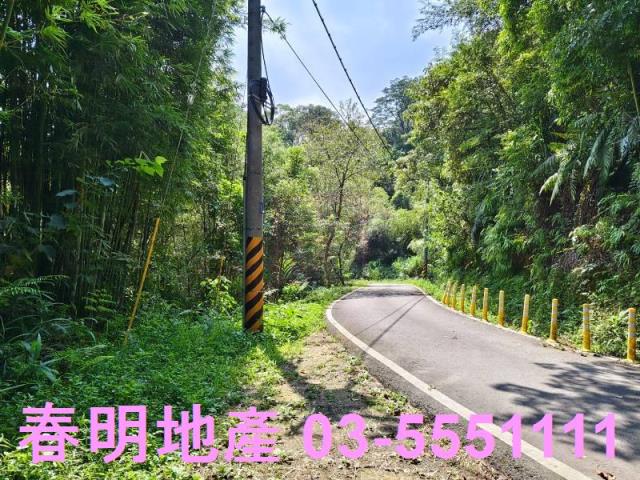 新竹橫山農地_林地-14