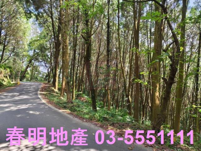 新竹橫山農地_林地-1