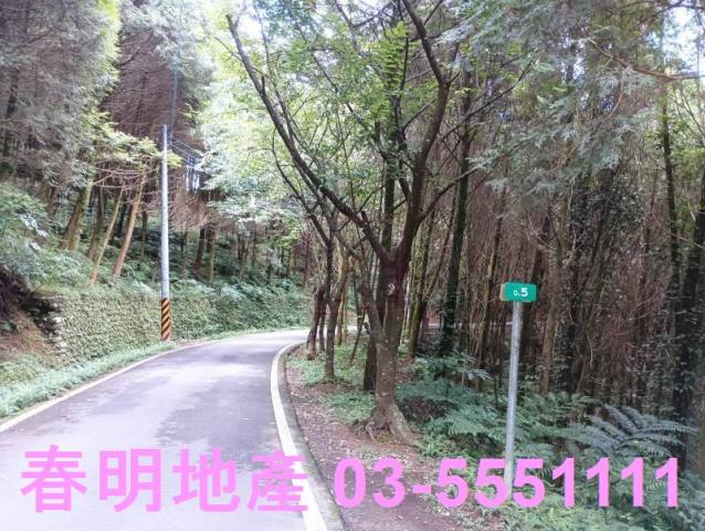 新竹橫山農地_林地-3