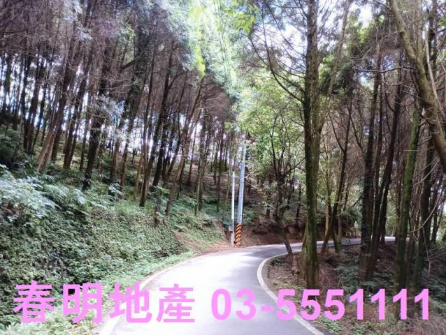 新竹橫山農地_林地-4