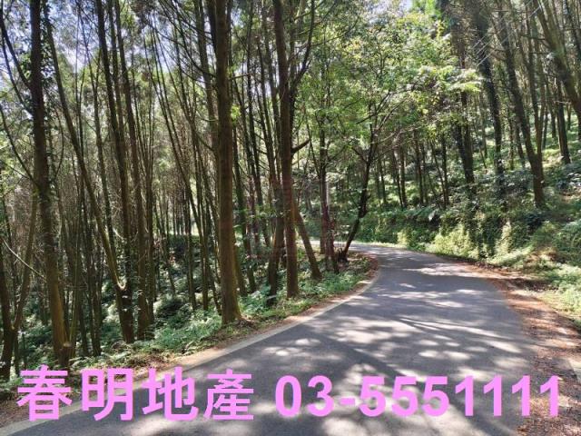 新竹橫山農地_林地-6