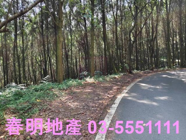 新竹橫山農地_林地-8