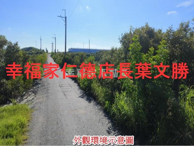 安南農地-13