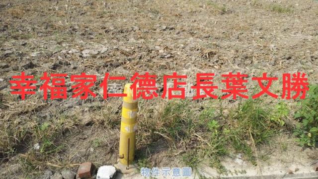 麻豆農地-15
