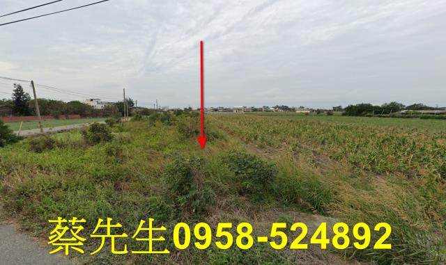 雲林法拍農地-4