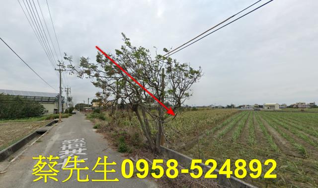雲林法拍農地-5