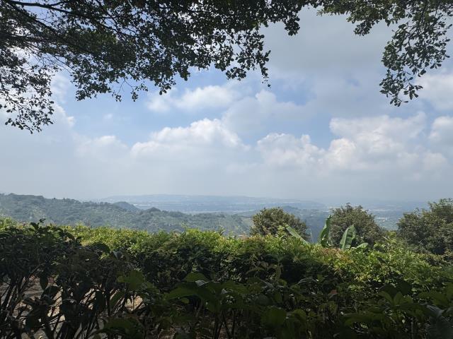 台中農地_休閒地-4