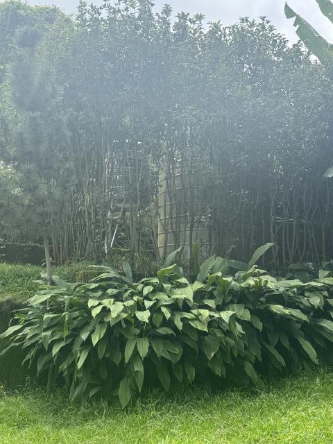台中農地_休閒地-7