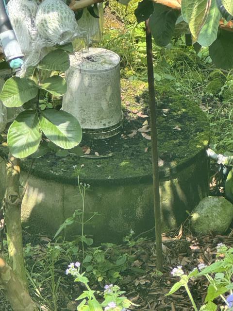 台中農地_休閒地-8