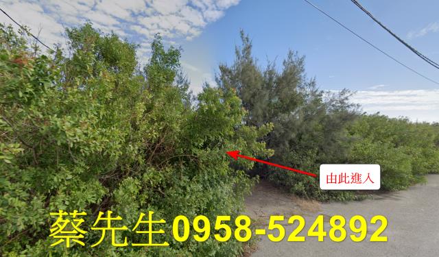 四湖法拍農地-13