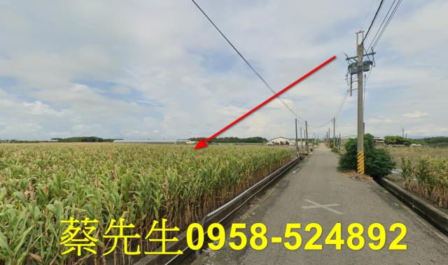 東勢鄉法拍農地-13