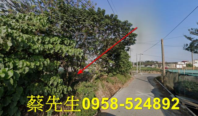 崙背拍賣農地-14