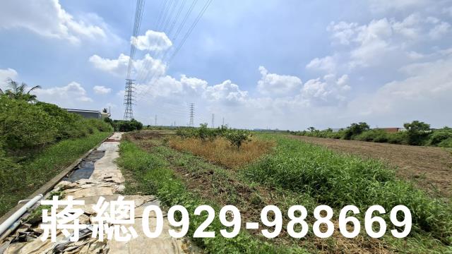 新市農地-2