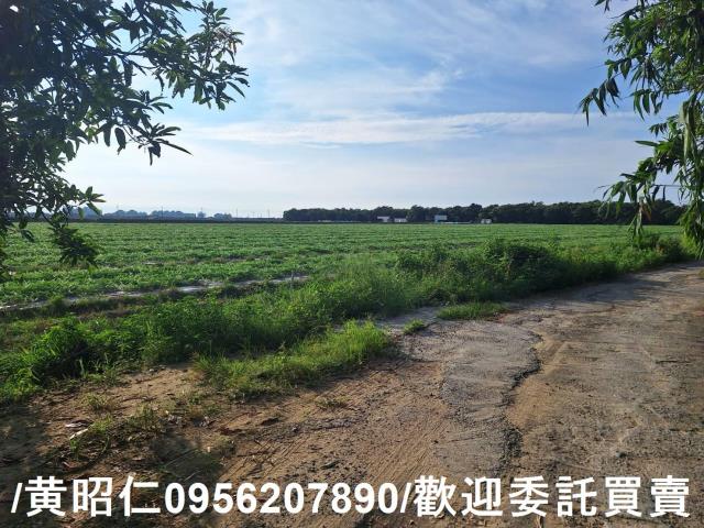 台南歸仁農地-13