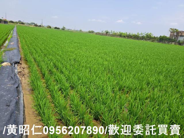 台南白河農地-2