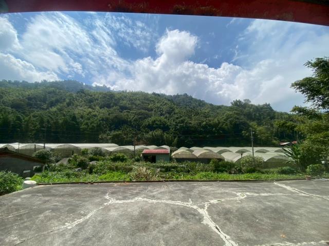 鹿谷農地_建地_山坡地-10