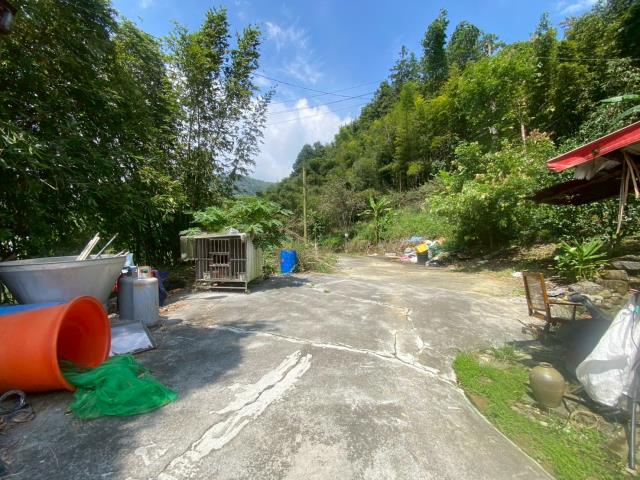 鹿谷農地_建地_山坡地-11