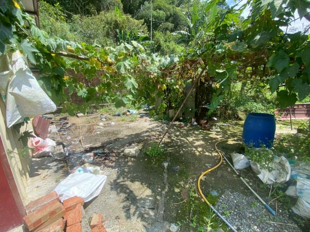 鹿谷農地_建地_山坡地-14