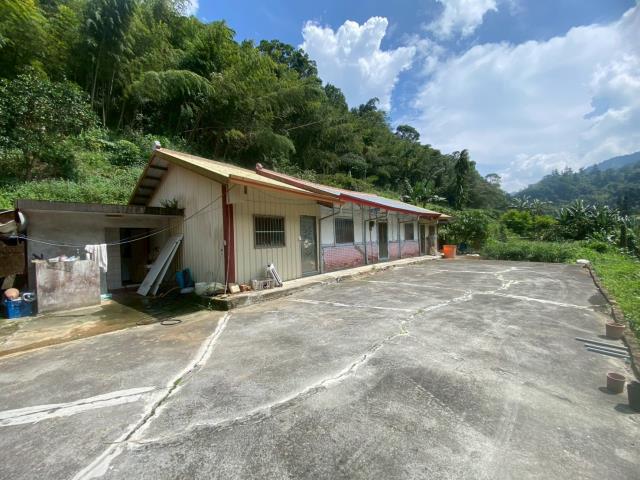 鹿谷農地_建地_山坡地-2