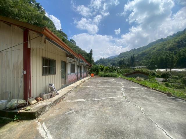 鹿谷農地_建地_山坡地-3
