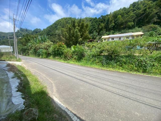 鹿谷農地_建地_山坡地-5