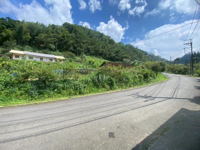 鹿谷農地_建地_山坡地-6
