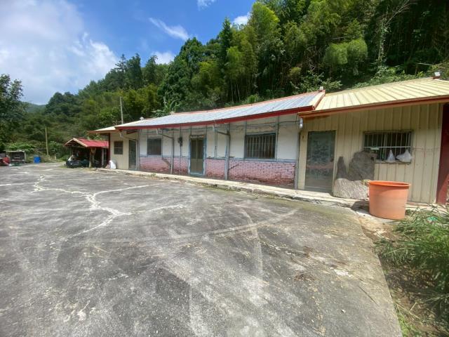 鹿谷農地_建地_山坡地-7