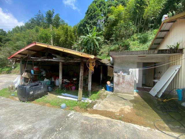 鹿谷農地_建地_山坡地-8