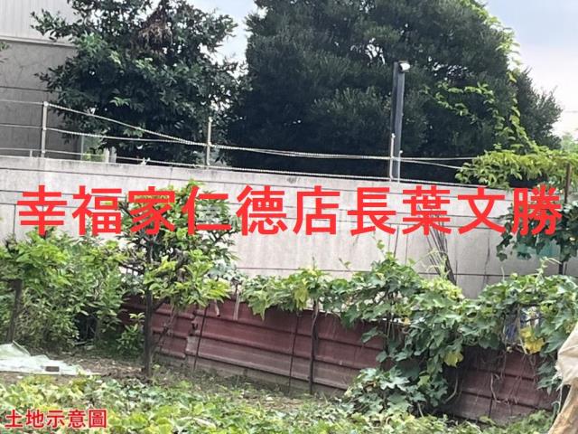仁德農地-2