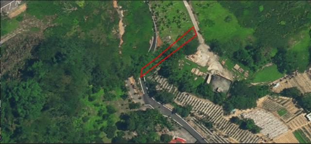 南投國姓法拍農地_山坡地-10