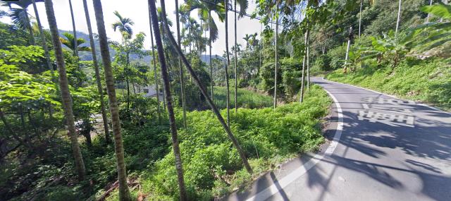 南投國姓法拍農地_山坡地-13
