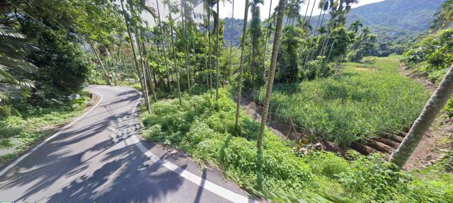 南投國姓法拍農地_山坡地-4