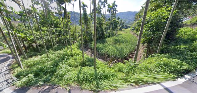 南投國姓法拍農地_山坡地-9