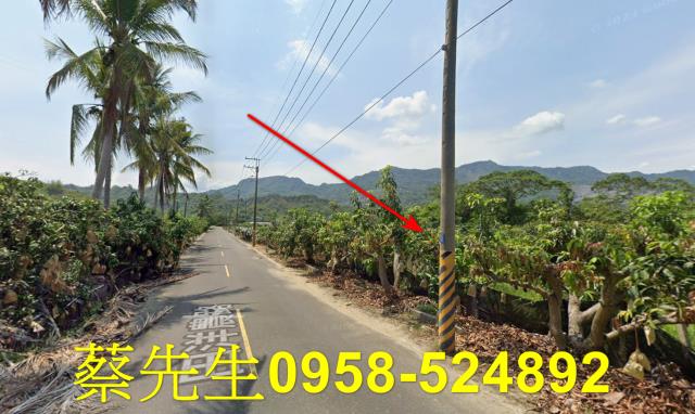 台南南化農地拍賣-13