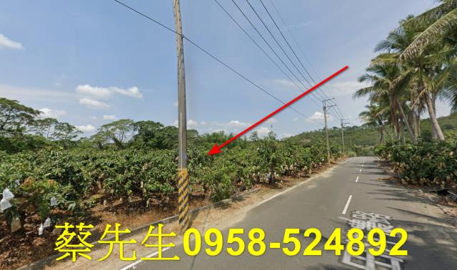 台南南化農地拍賣-15