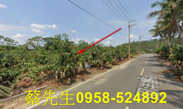 台南南化農地拍賣-6