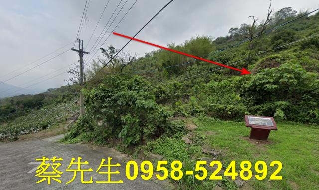 台南南化拍賣農地-14