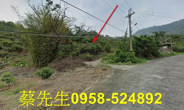 台南南化拍賣農地-4