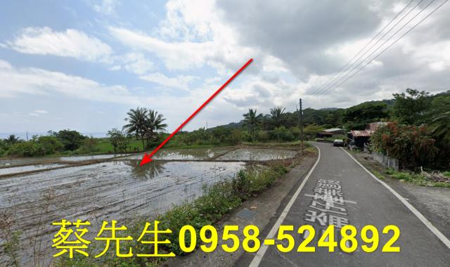 長濱農地法拍-12