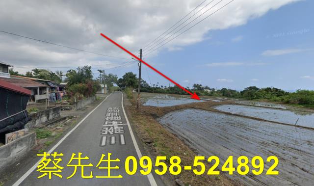 長濱農地法拍-15